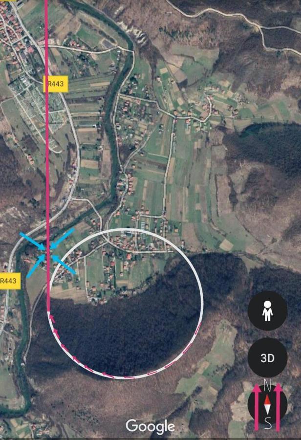 Tammaris * Visoko