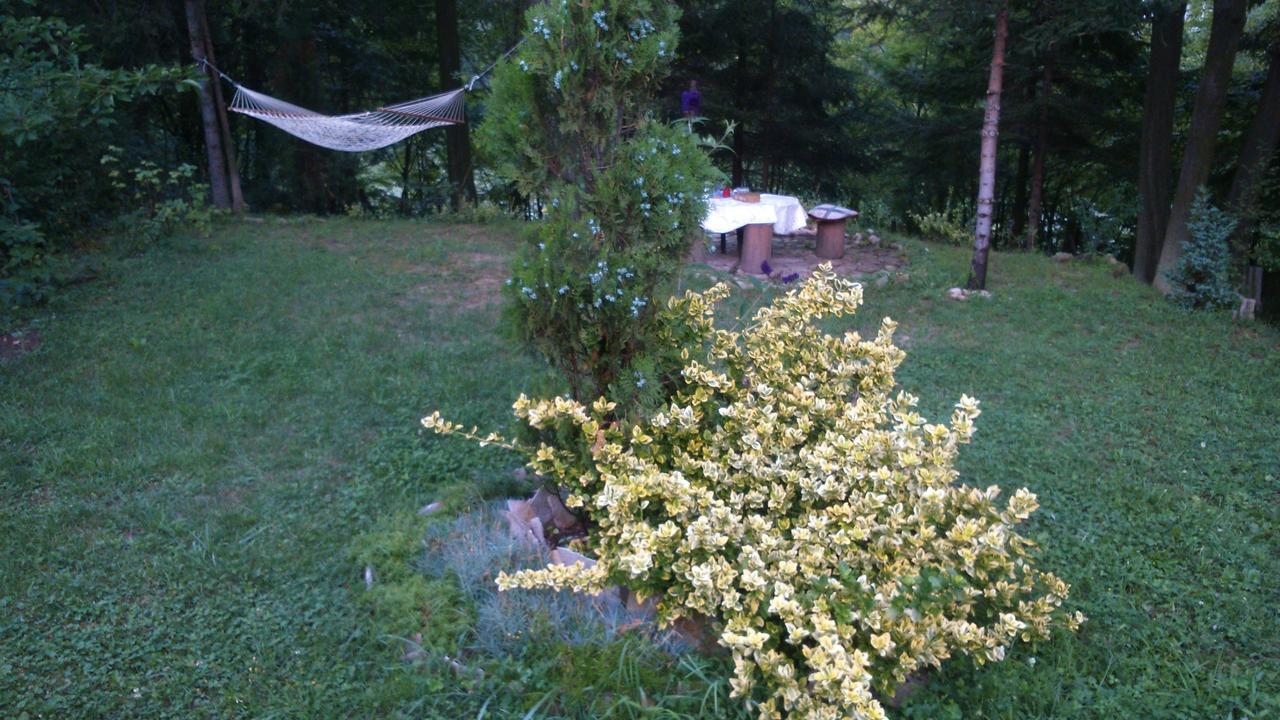 Ferienhaus Tammaris *